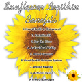 100% natürlicher organischer Sonnenblumen -Lecithin reines Pulver